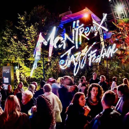 Luxury Lakefront Loft In Montreux Swiss Reviera By Guestlee * Territet